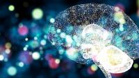 brain